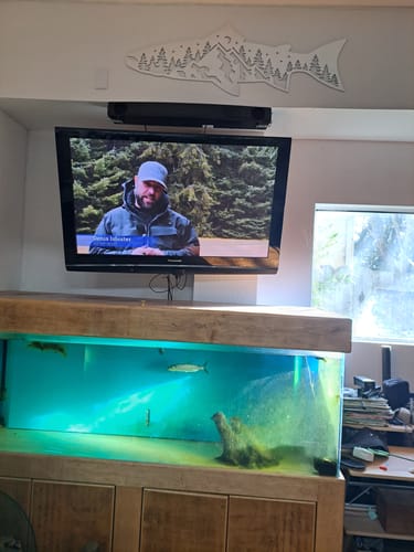 Customer photo review of Trout Fish Design - Metal Wall Art