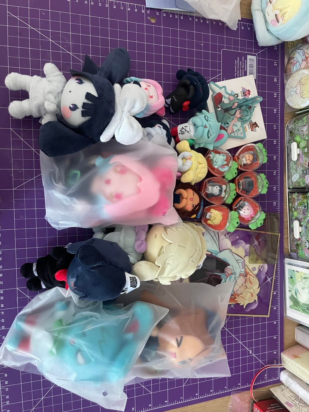 Customer photo review of Alien Stage Rabbit Series Blind Box
