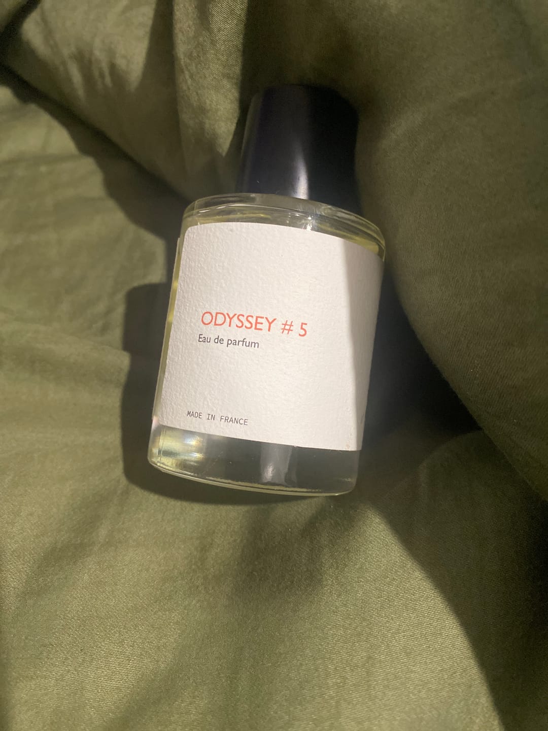 Customer photo review of Odyssey #5