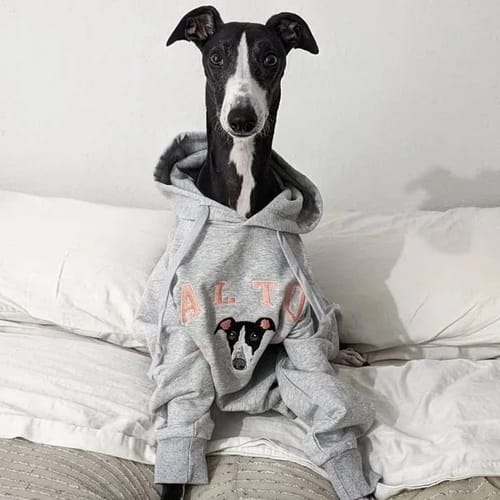 Customer photo review of Personalized Embroidered Pet Face and Name Est Sweatshirt