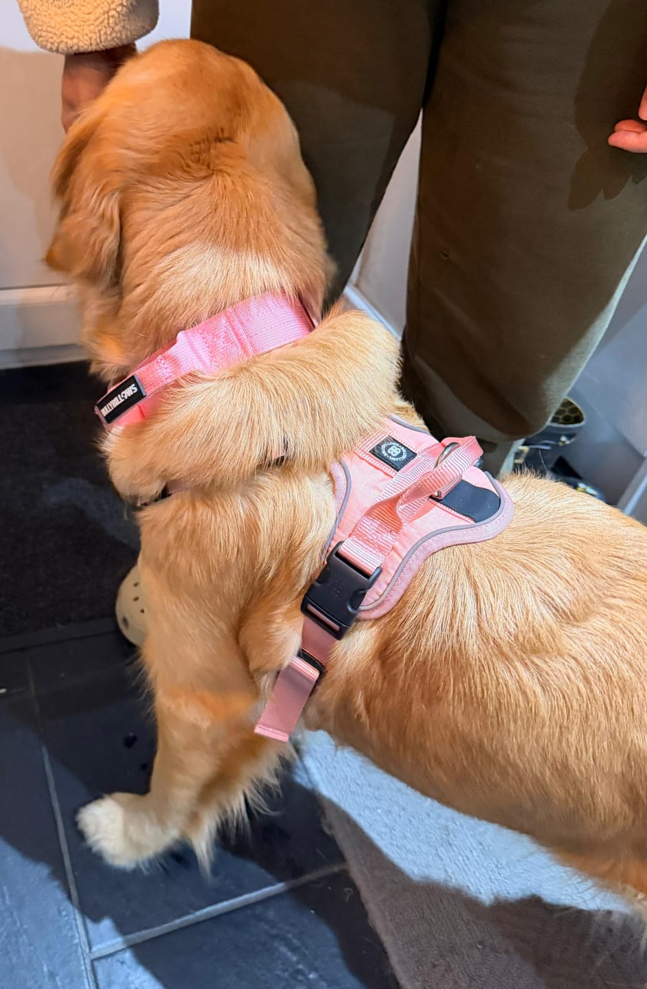 Customer photo review of Anti Pull Hurricane Harness Lighter | With Handle - Pink