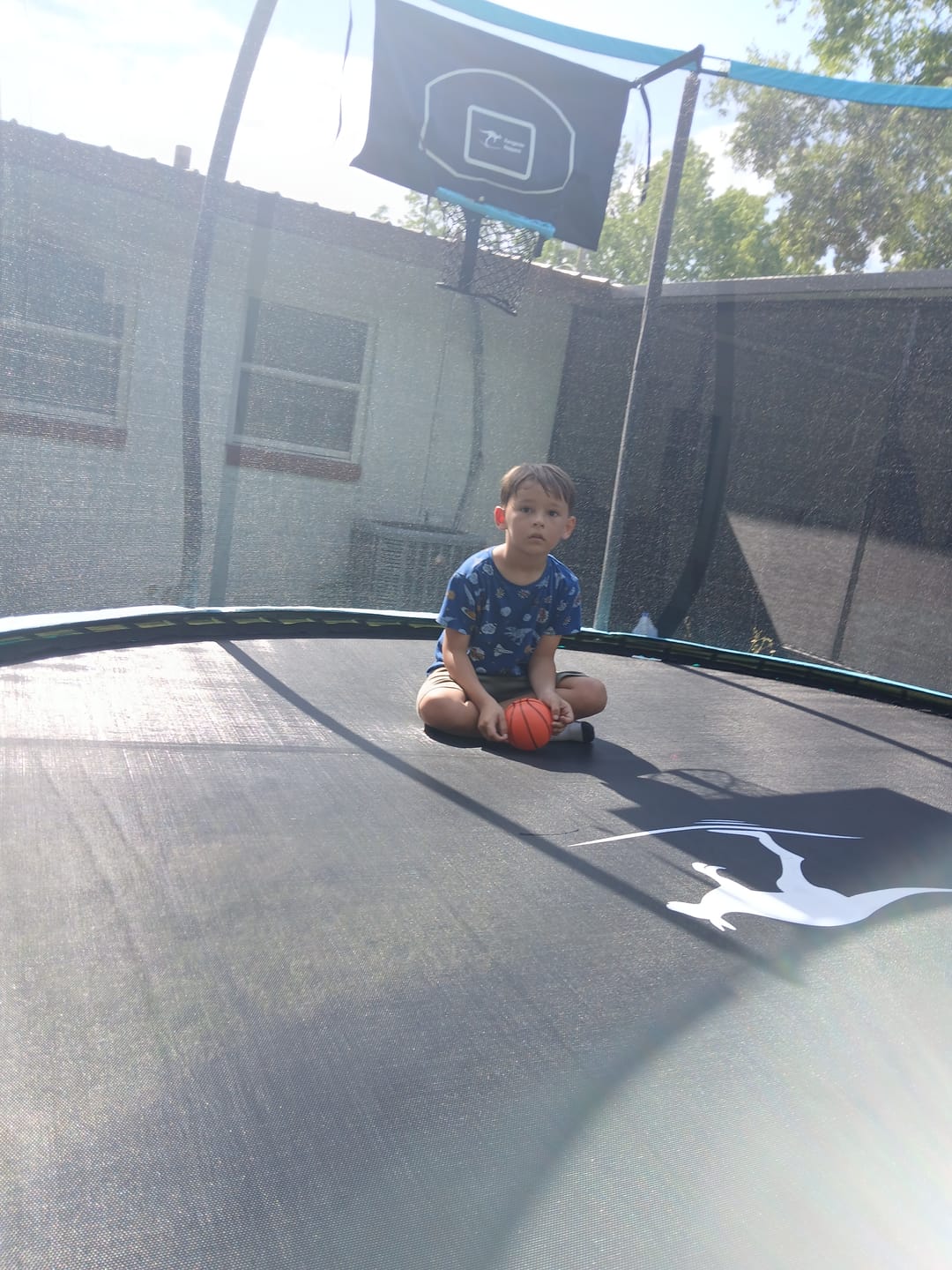 Customer photo review of Kangaroo Hoppers 12FT Trampoline for Kids & Adults