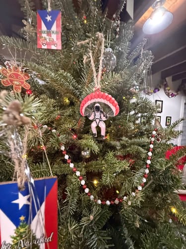 Customer photo review of Skydiver Personalized Christmas Ornament, Gift For Extreme Sports Lover