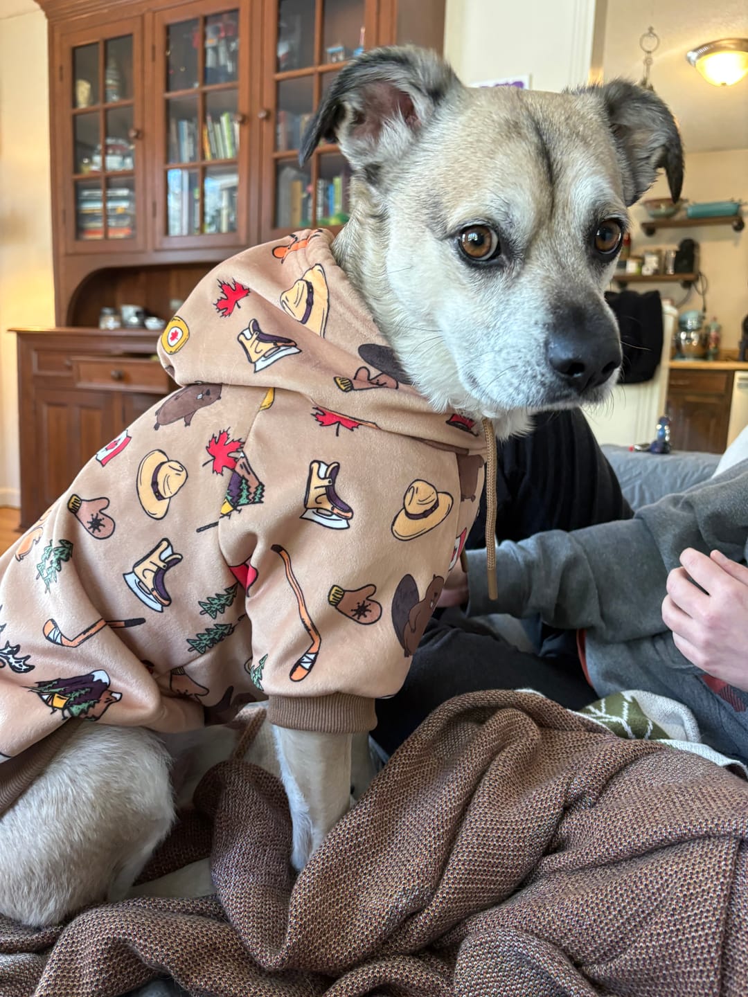 Customer photo review of Canada Dog Hoodie