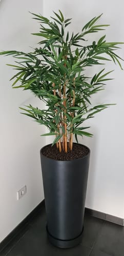 Customer photo review of Bamboe Kunstplant 120 cm