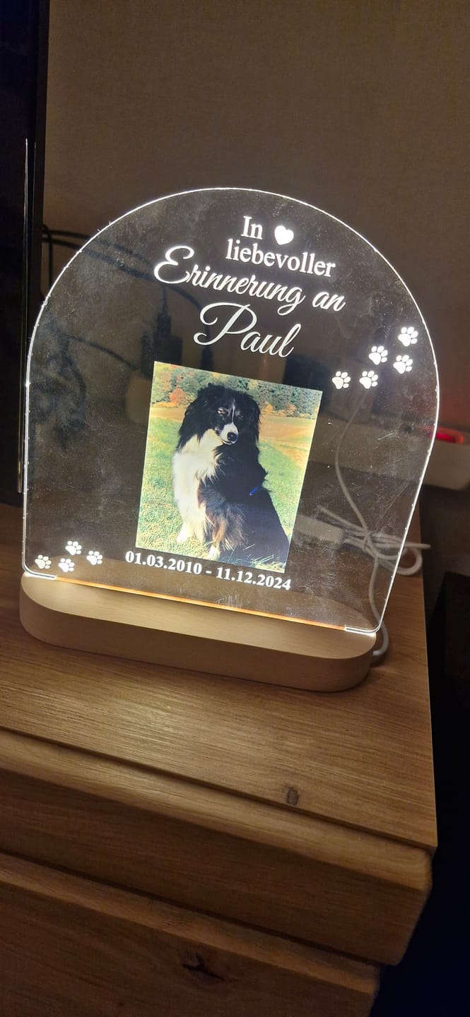 Customer photo review of Zur liebevollen Erinnerung – LED-Lampe für Hund/Katze