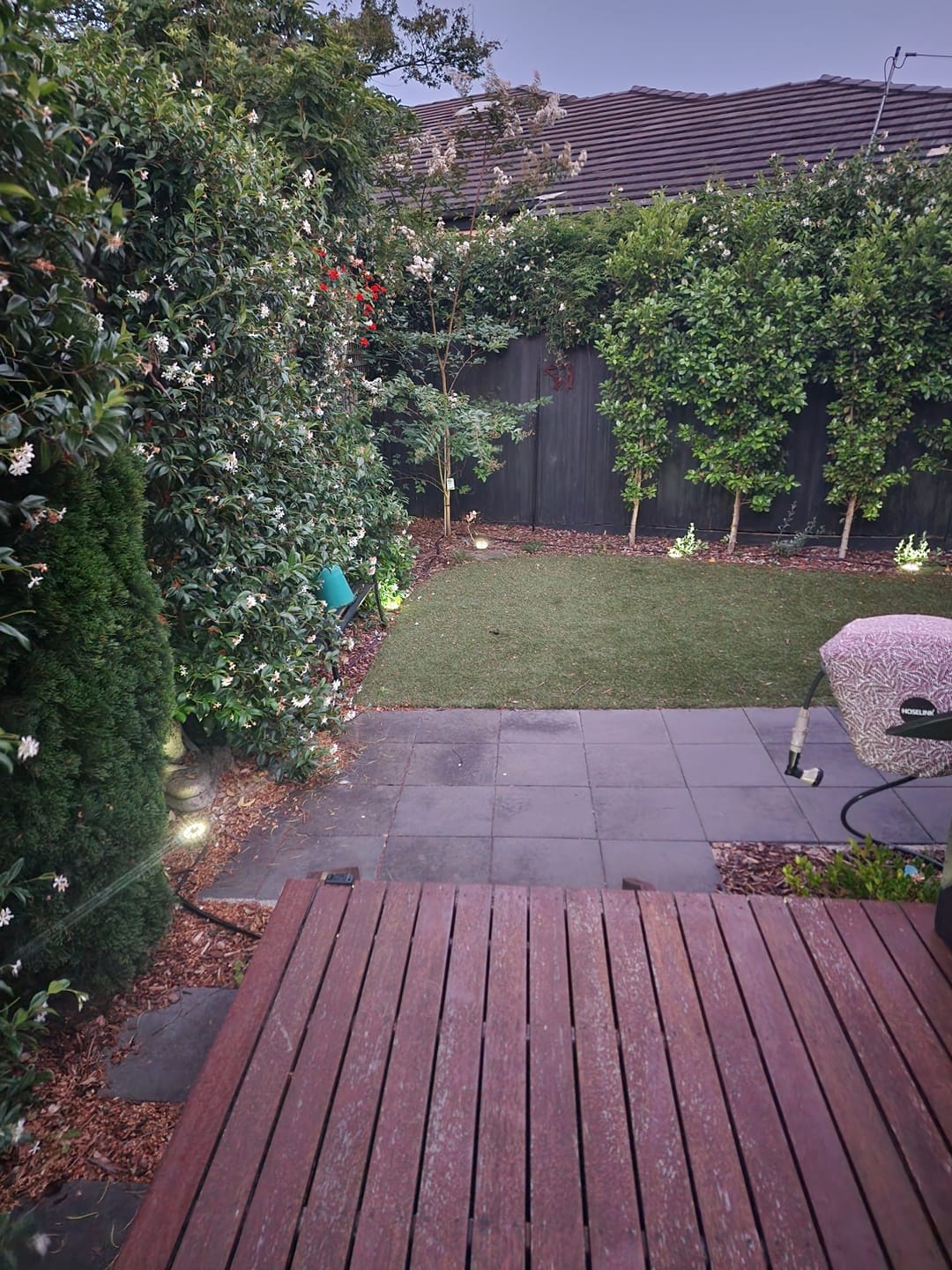 Customer photo review of SolaGarden™ LED Ground Light Pack