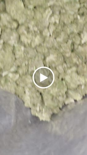 Customer video review of THCA Flower Budget Buds