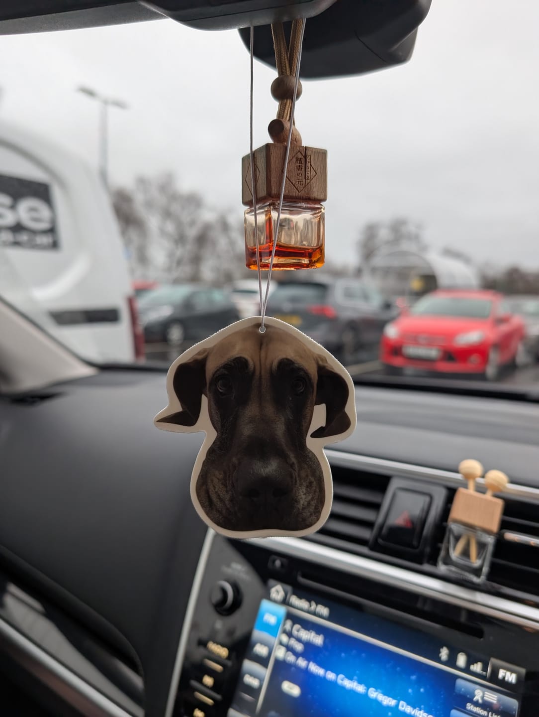 Customer photo review of Personalised Custom Car Air Freshener With Your Photo