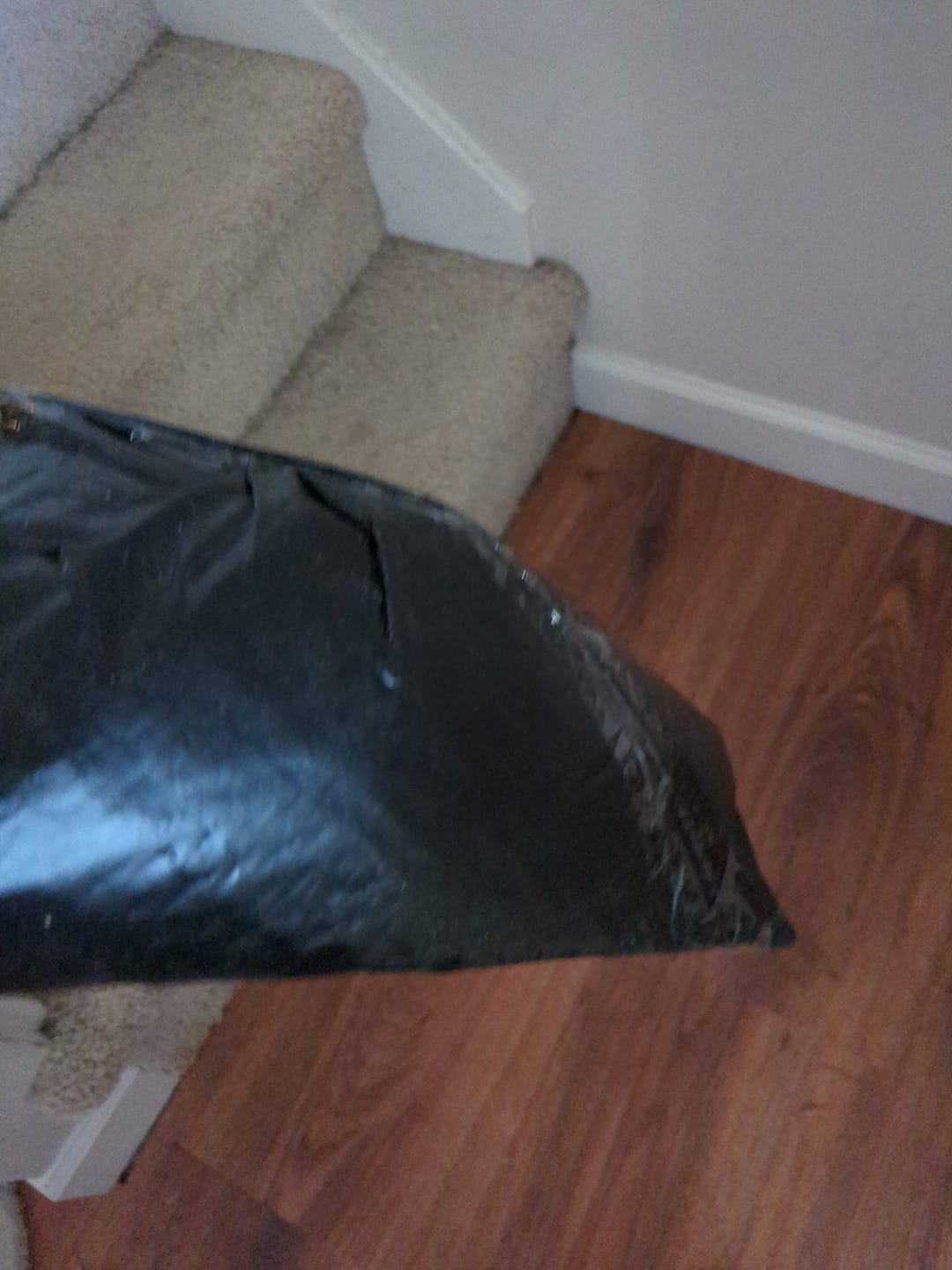 Customer photo review of Talaria Front Fender