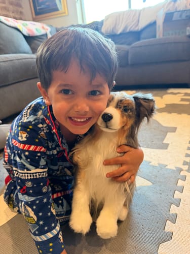 Custom Petslify plush reviewed by Jennifer E., handmade replica of their dog