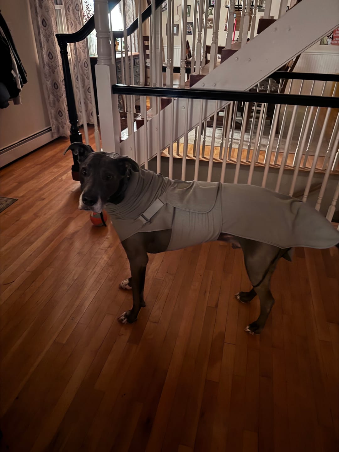 Customer photo review of Anxiety Calming Suit - Heather Grey