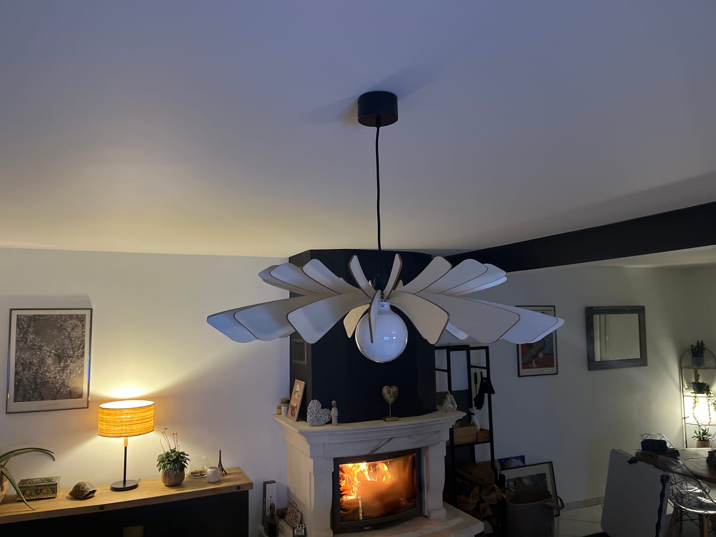 Customer photo review of Aurora | Suspension