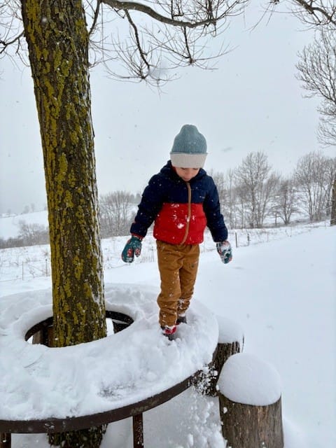 Customer photo review of Red Foxes Sherpa Lined Mittens