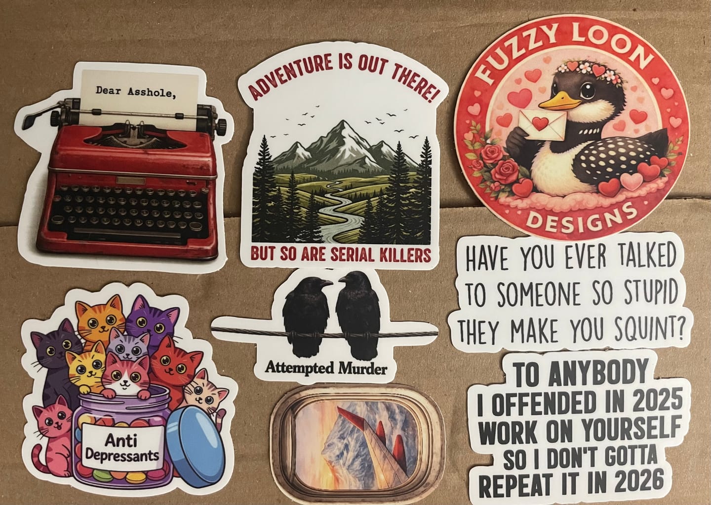 Customer photo review of STICKER CLUB | Monthly Sticker Subscription