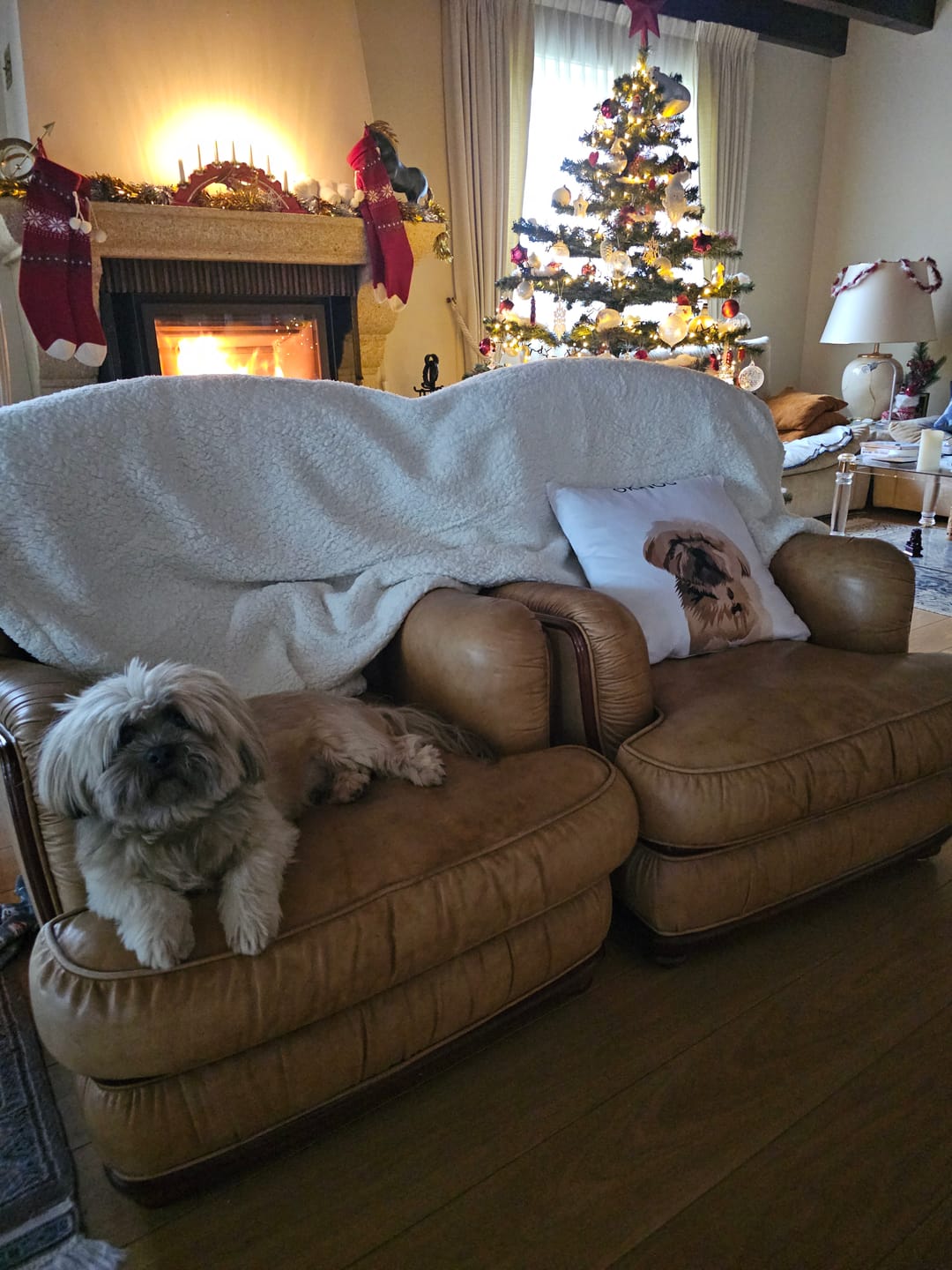 Customer photo review of Coussin Personnalisé