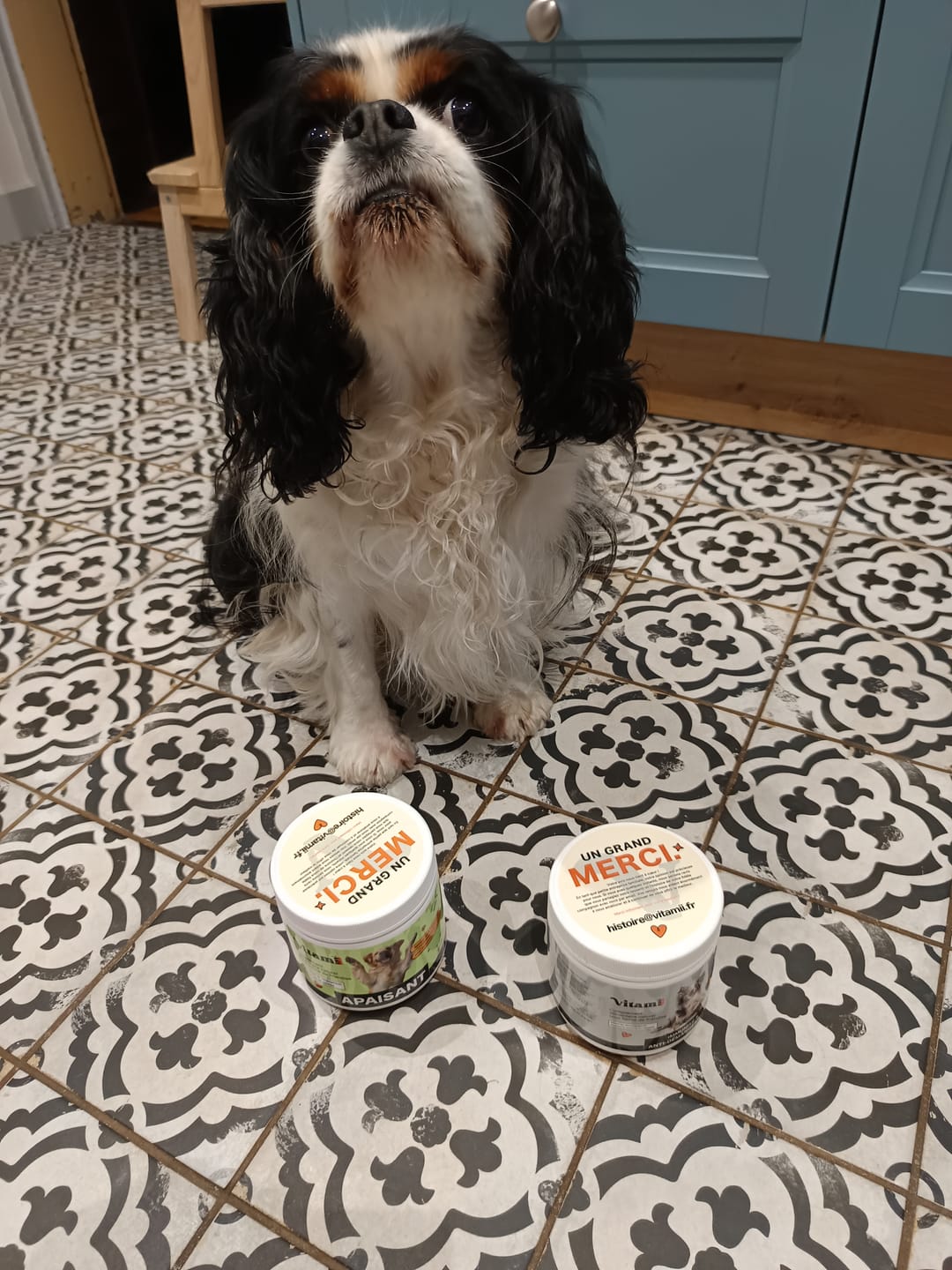 Customer photo review of Friandises Naturelles Immunité et Anti-Démangeaisons
