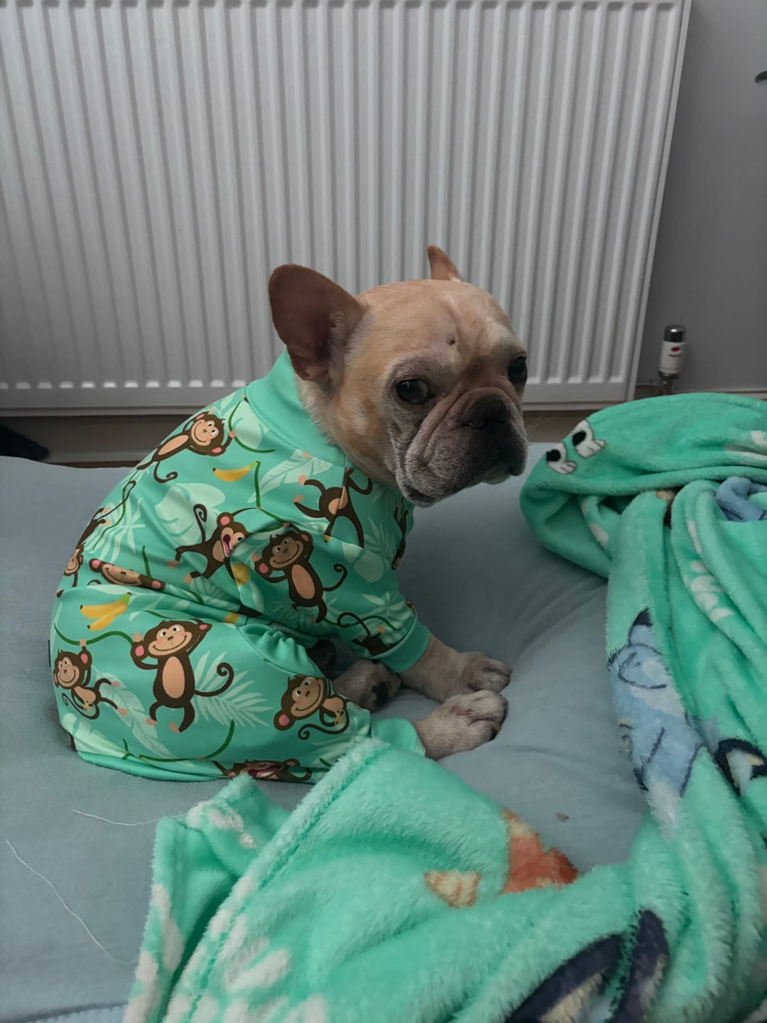 Customer photo review of Dog Pajama - Monkey Business