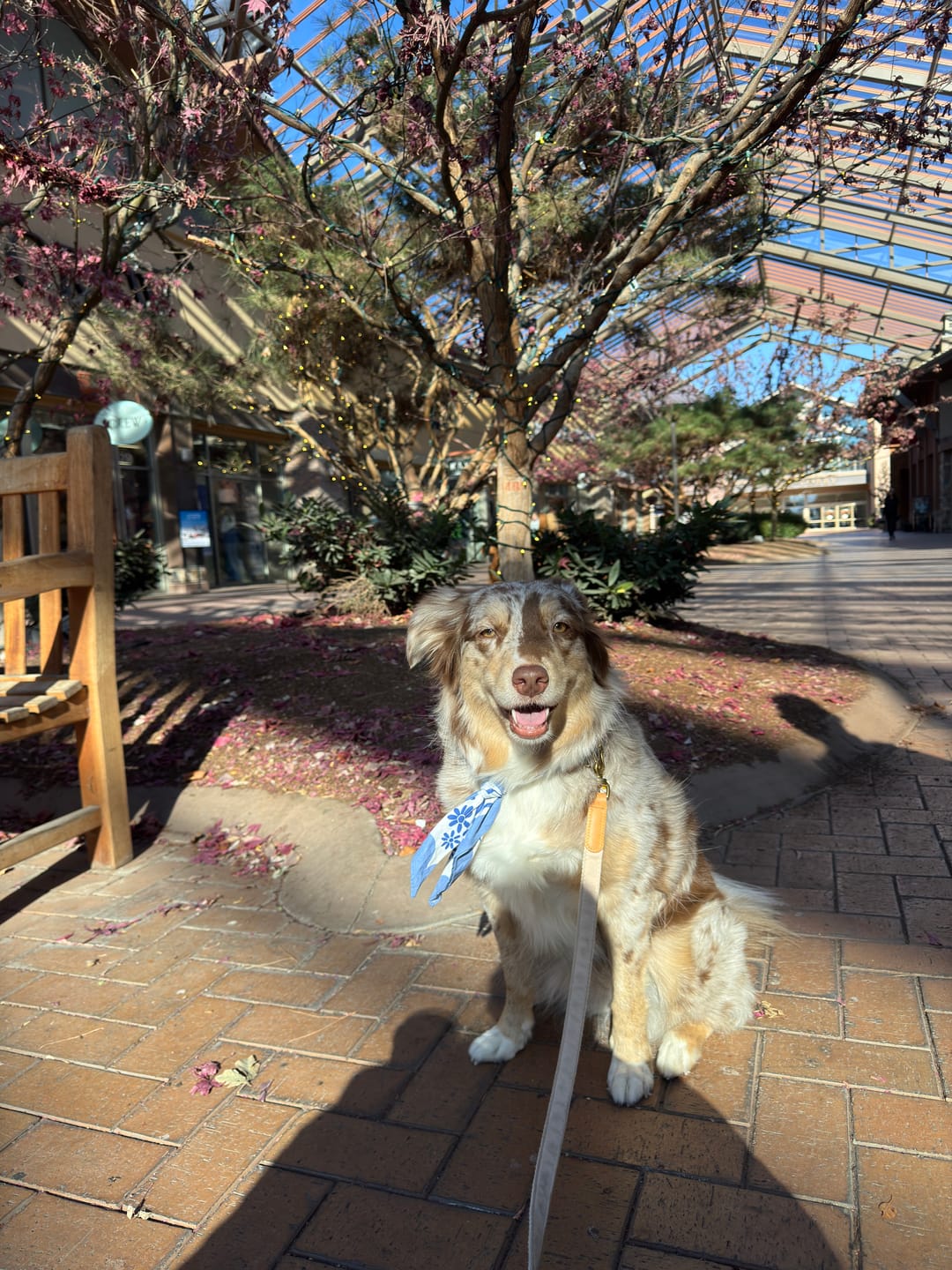 Customer photo review of Matisse Bandana
