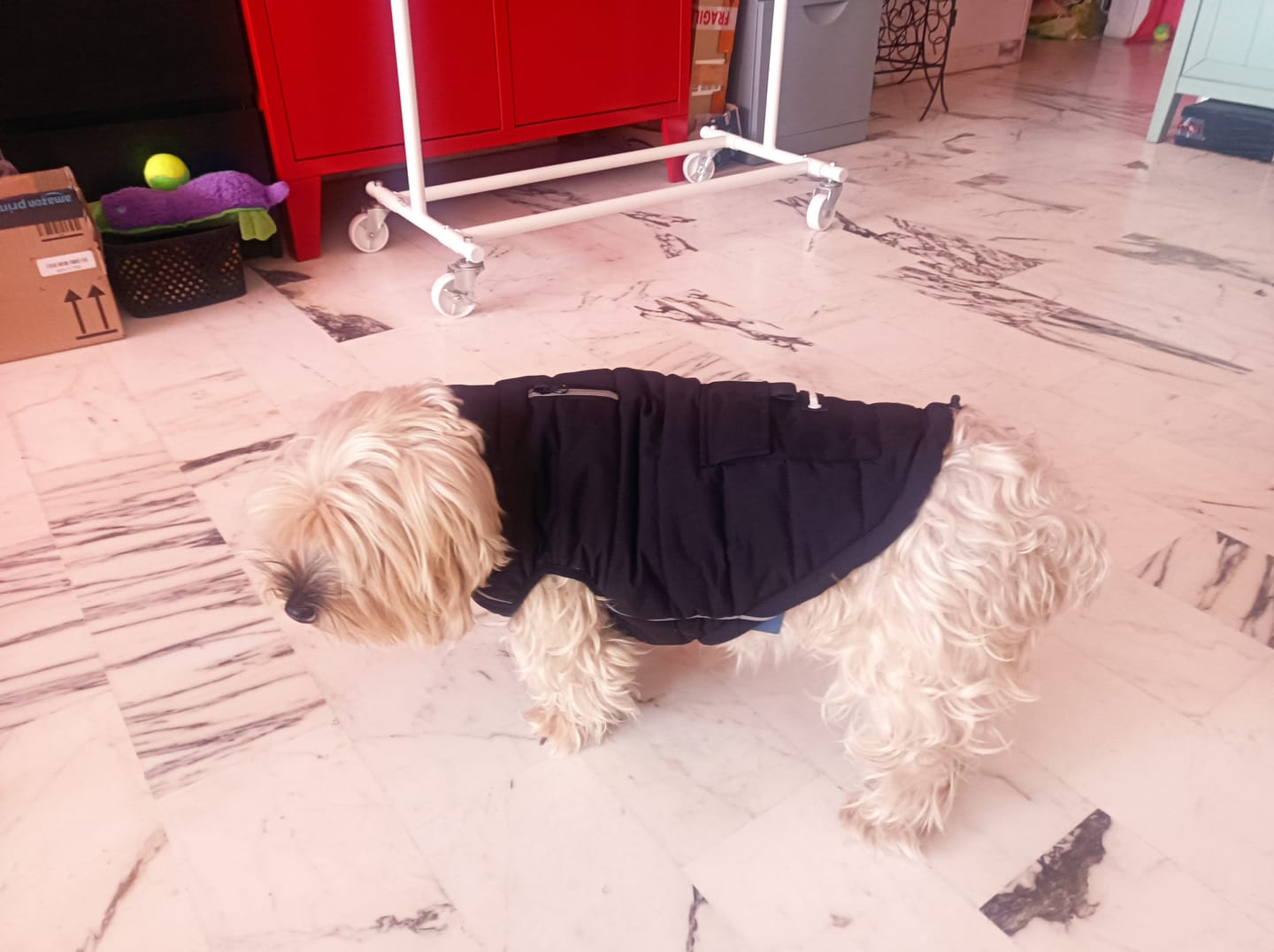 Customer photo review of WarmShield Water-Resistant Jacket - Black