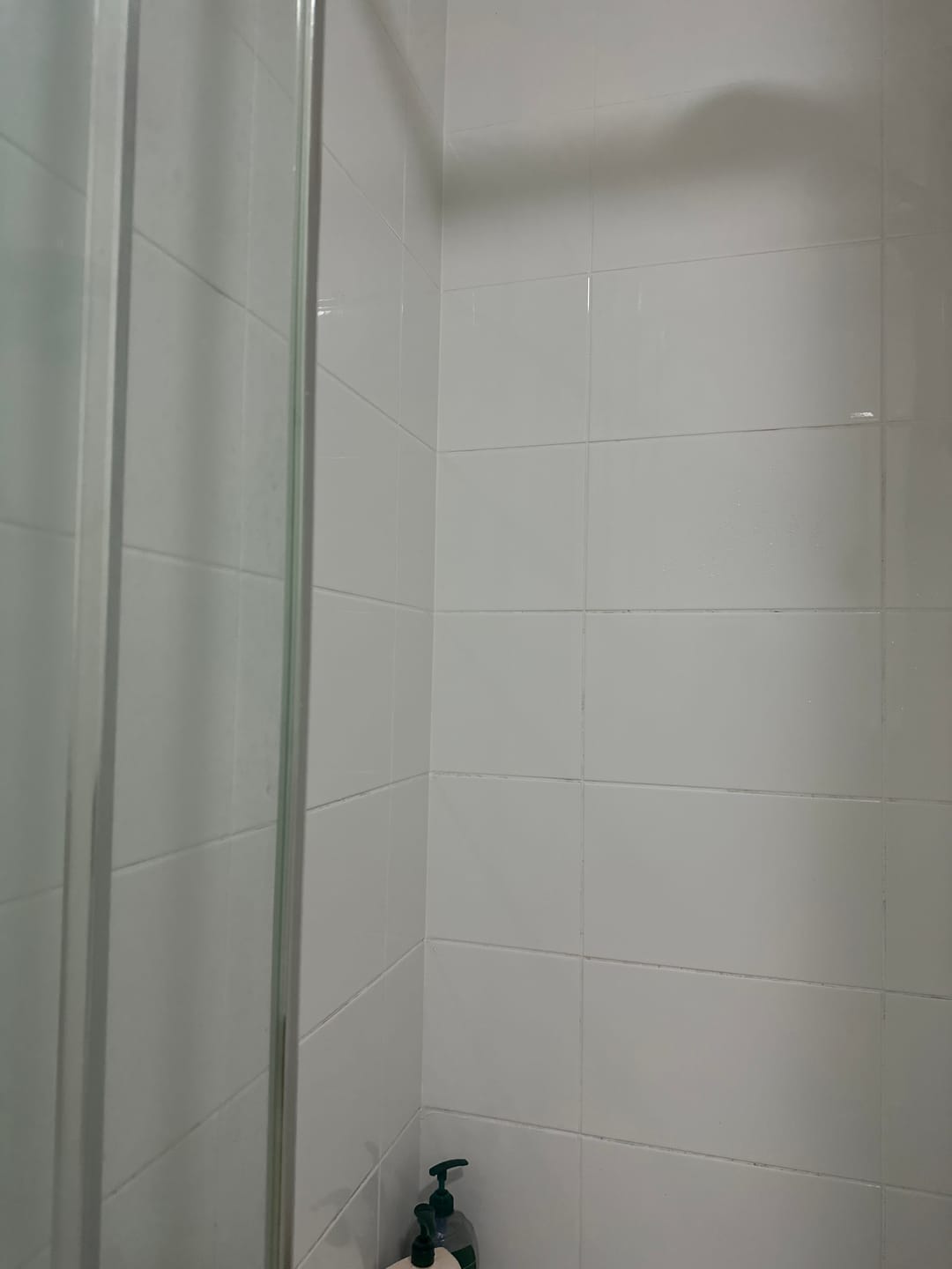 Customer photo review of GLASSGUARD® Glass Stain & Mould Remover Bundle