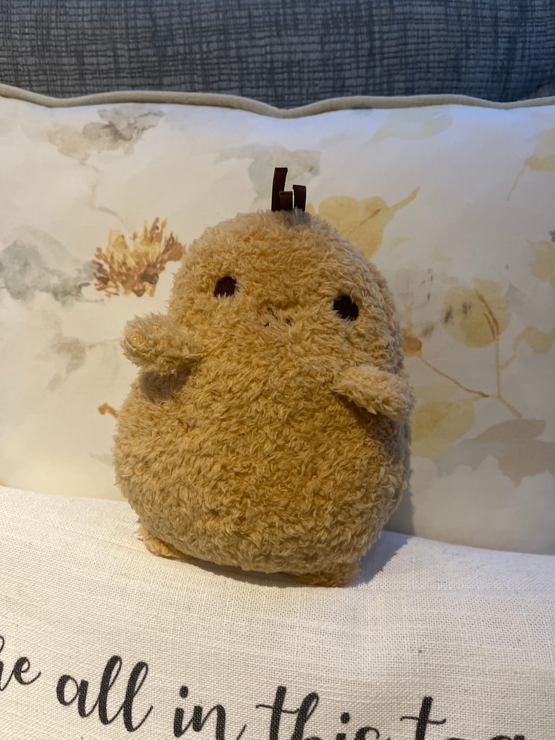 Customer photo review of Tayto the Potato