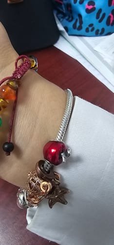 Customer photo review of Charm Manzana Roja