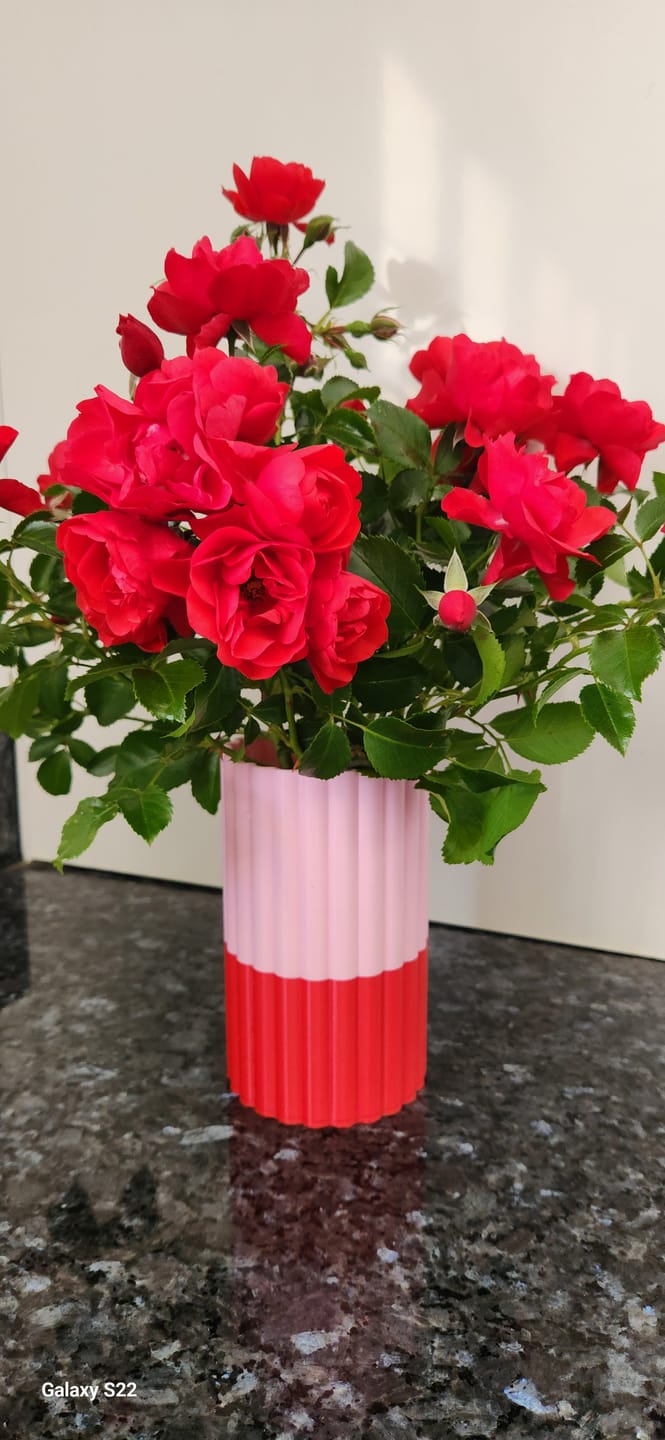 Customer photo review of The Frankie Vase