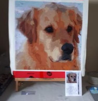 Customer photo review of Custom Pet Paint By Numbers