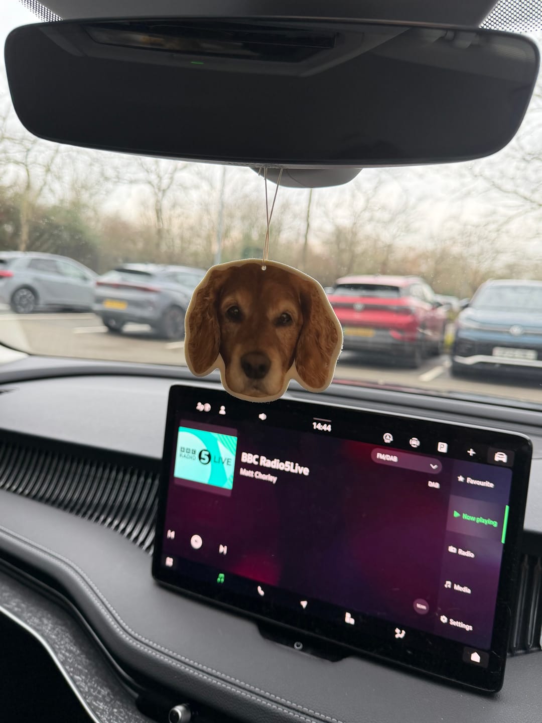 Customer photo review of Personalised Custom Car Air Freshener With Your Photo