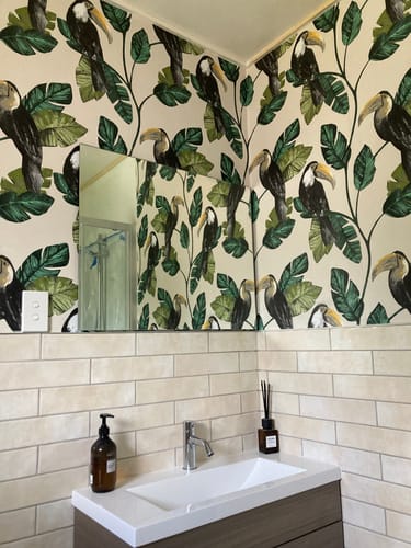 Customer photo review of Toucan Tiki Wallpaper - Neutral - Discontinuing