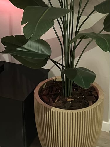 Customer photo review of 10 liter Frans Boomschors
