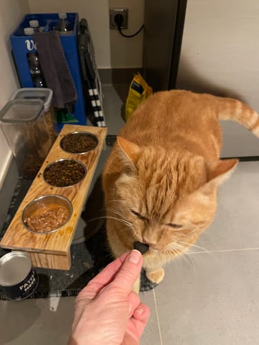 Customer photo review of Patsli® Move