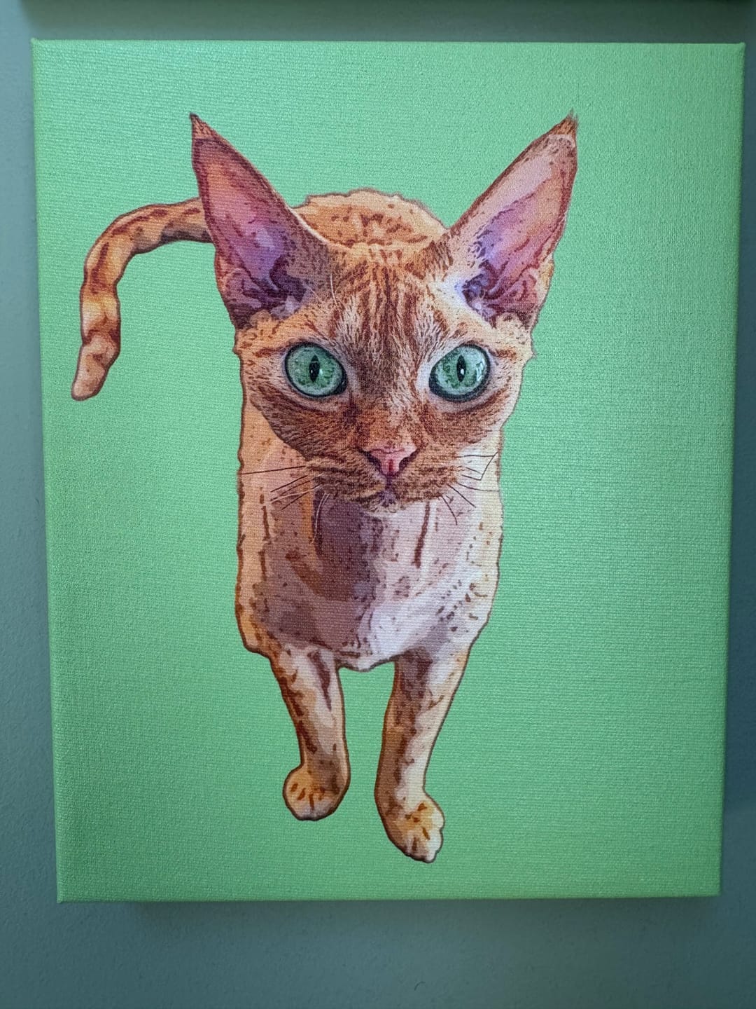 Customer photo review of Original Pet Pop Art Canvas Wrap