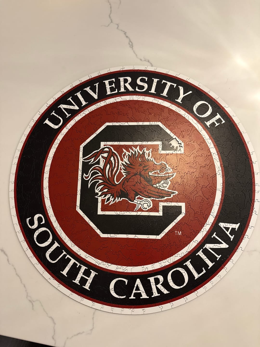 Customer photo review of University of South Carolina - Wooden Puzzle