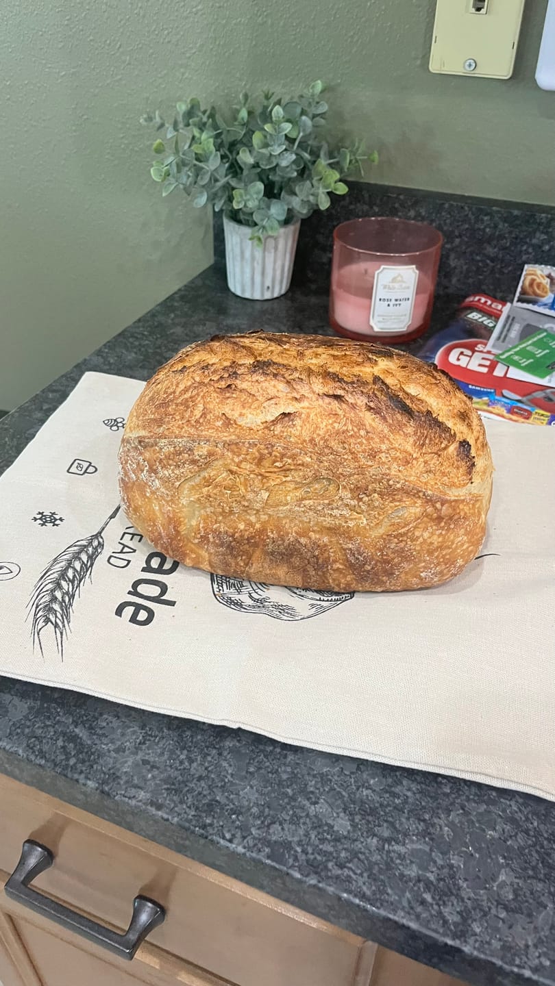 Customer photo review of Sourdough Starter Survival Guide | A Clear, Beginner-Friendly System for Feeding & Maintaining a Healthy Starter