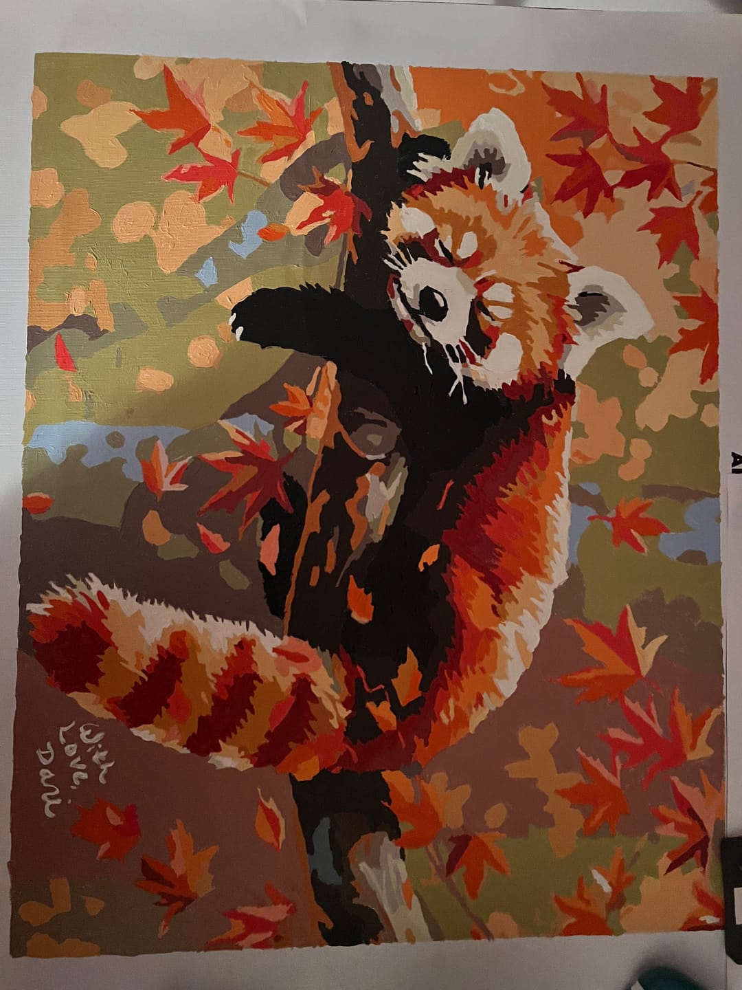 Customer photo review of Relaxed Red Panda