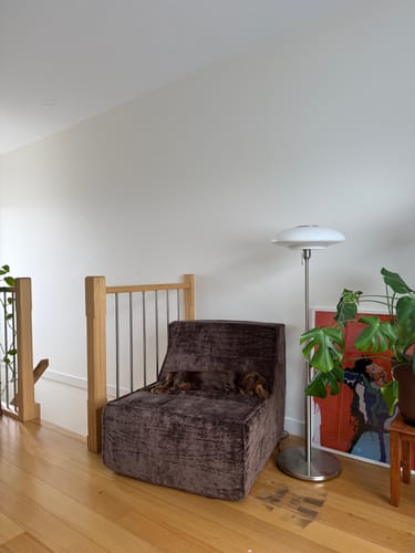 Customer photo review of Loungi