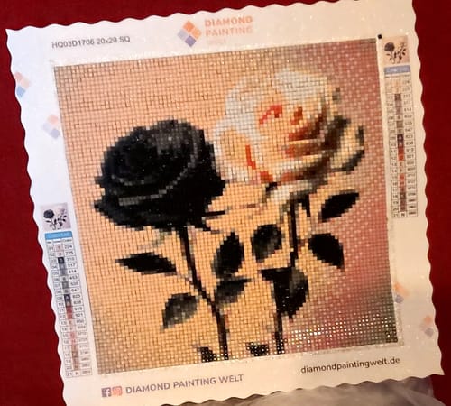 Kundenbewertung mit Foto zu Schwarz-weiße Rose