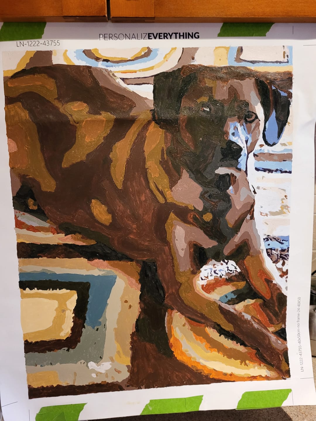 Customer photo review of Paint by Number Kit