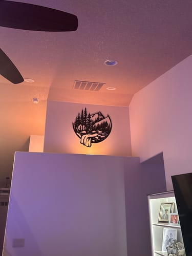 Customer photo review of Nature’s Rush Wall Art