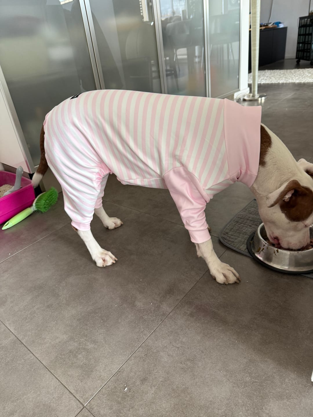 Customer photo review of Dog Pajama - Pink Stripes
