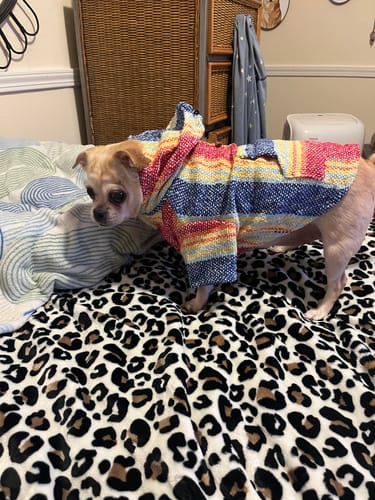 Customer photo review of Playa Poncho – Parrotfish