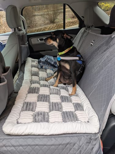 Customer's dog sitting on the plush, checkered Backseat Dog Bed that spans the entire backseat of a car.