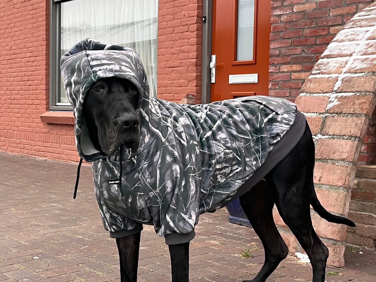 Customer photo review of Concrete Wood Dog Hoodie - Asphalt