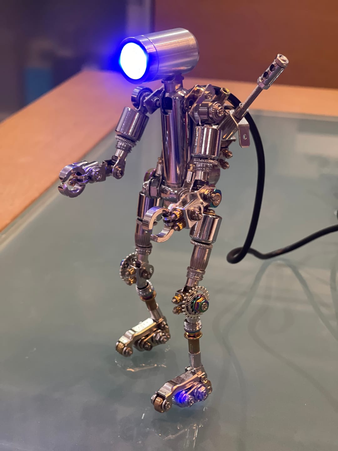 Customer photo review of Terminator M