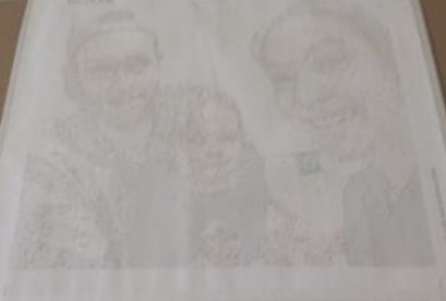 Customer photo review of Custom Portrait Paint By Numbers