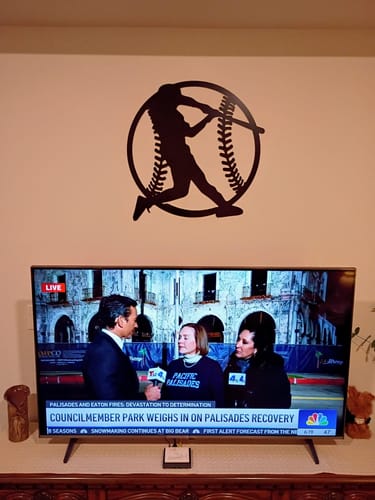 Customer photo review of Baseball - Metal Wall Art