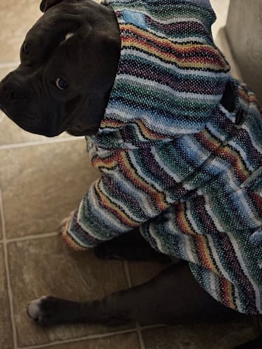 Customer photo review of Playa Poncho – Mystery Color (Bella, Charlie, or Fun Edition)