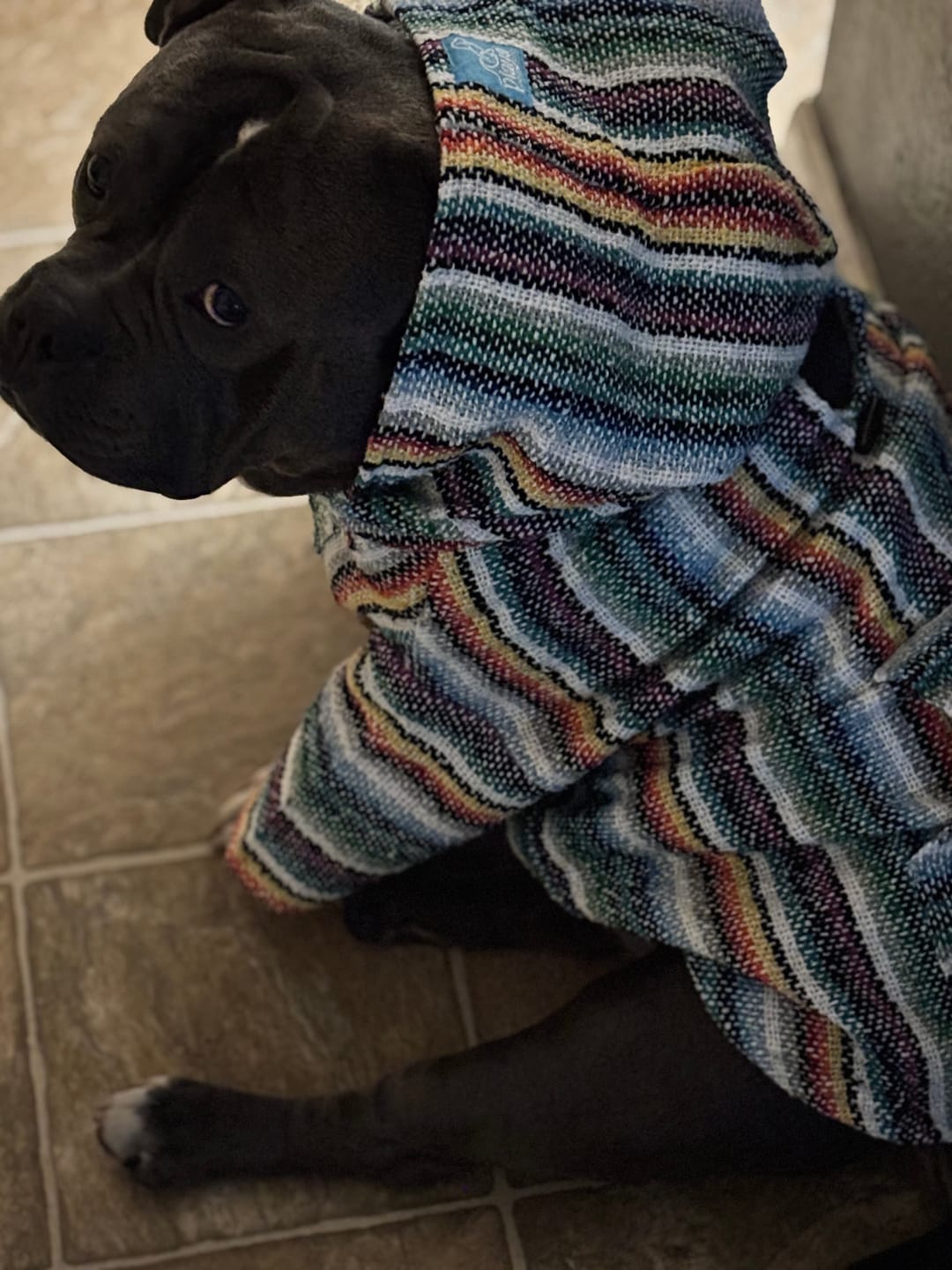 Customer photo review of Playa Poncho – Mystery Color (Bella, Charlie, or Fun Edition)